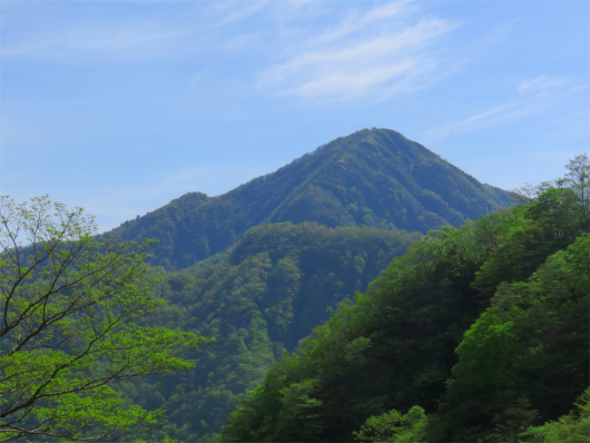 源蔵尾根から蛭ヶ岳