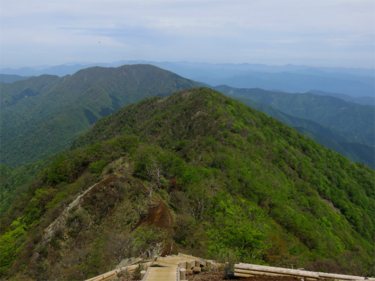 f:id:aohige0718:20180524204500j:plain 大室山で、手前のモッコリが大笄