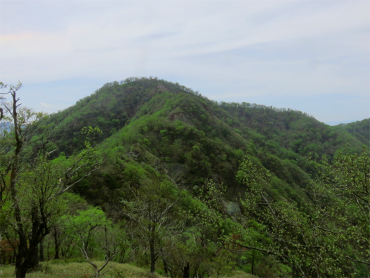 f:id:aohige0718:20180524204615j:plain 振り返っての檜洞丸の山頂