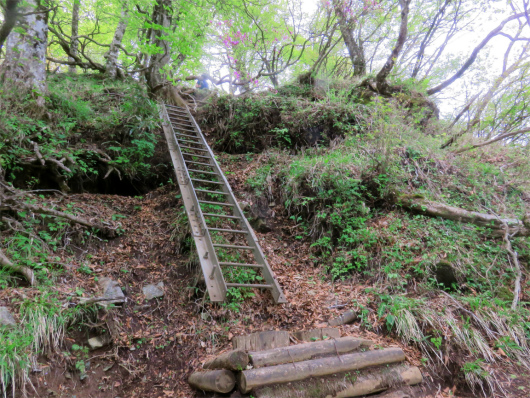 f:id:aohige0718:20180524204743j:plain 梯子