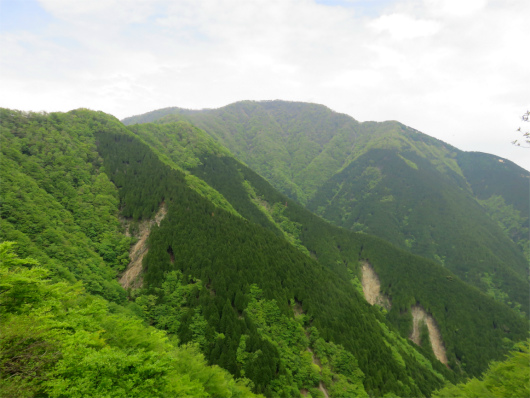 f:id:aohige0718:20180524205013j:plain 目指す大室山