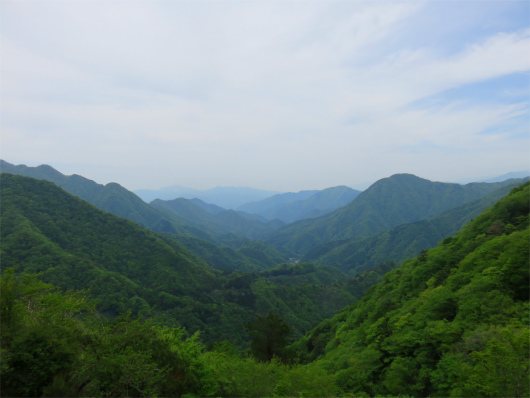 f:id:aohige0718:20180524205027j:plain 西丹沢の山並み