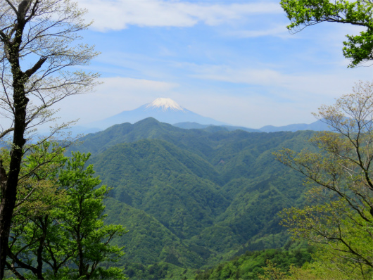 f:id:aohige0718:20180524205122j:plain 富士山の展望