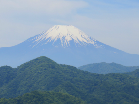 f:id:aohige0718:20180524205135j:plain 大室山の中腹