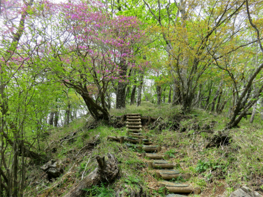 f:id:aohige0718:20180524205248j:plain 急登