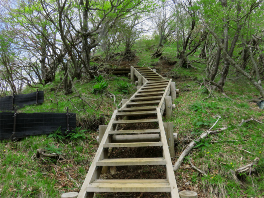 f:id:aohige0718:20180524205331j:plain アップの階段