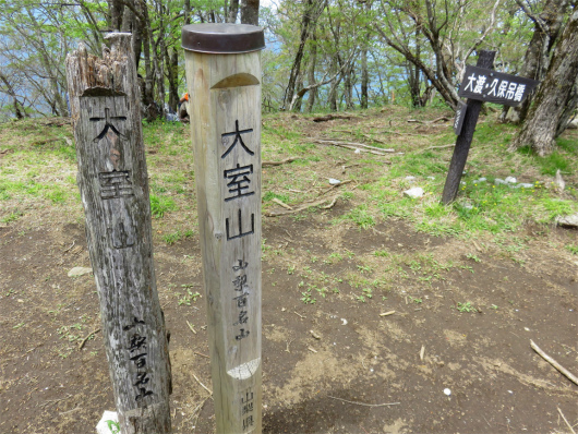 f:id:aohige0718:20180524205359j:plain 大室山山頂