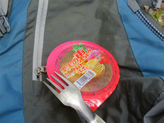 f:id:aohige0718:20180524205405j:plain ゼリー