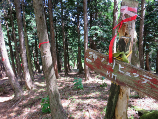 f:id:aohige0718:20180524205506j:plain 神ノ川ヒュッテの分岐