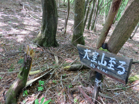 f:id:aohige0718:20180524205521j:plain 大室山看板