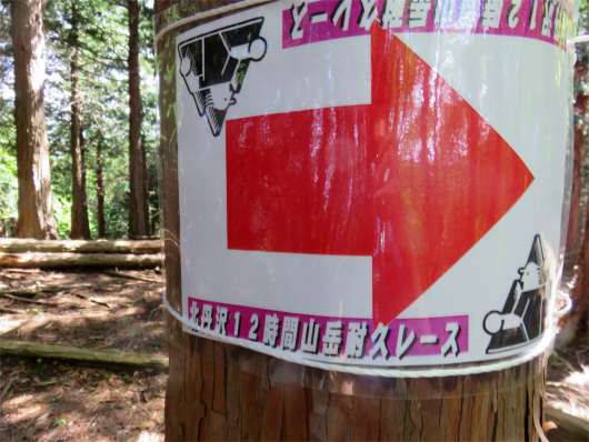 f:id:aohige0718:20180524205527j:plain 丹沢山岳耐久レース看板