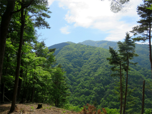 f:id:aohige0718:20180524205539j:plain 鐘撞山から大室山景色