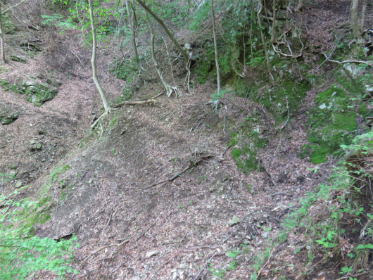 f:id:aohige0718:20180524205622j:plain 道が狭い