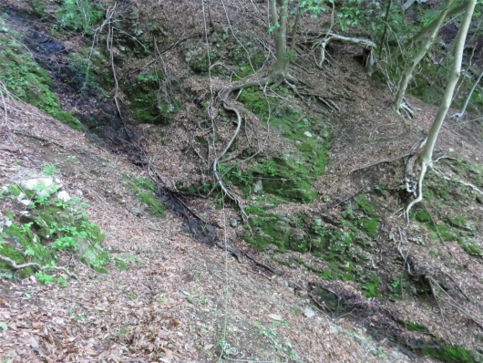 f:id:aohige0718:20180524205631j:plain 崩壊