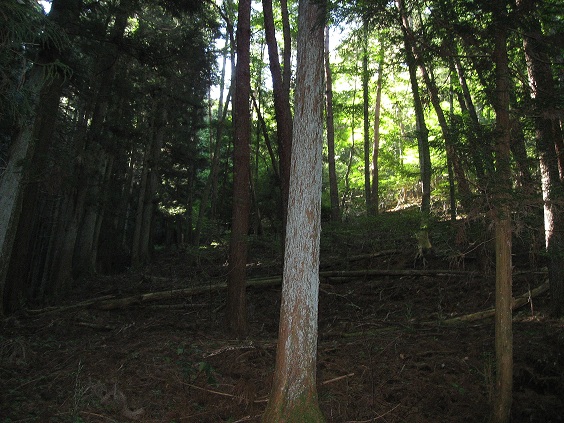 倉見山への案内