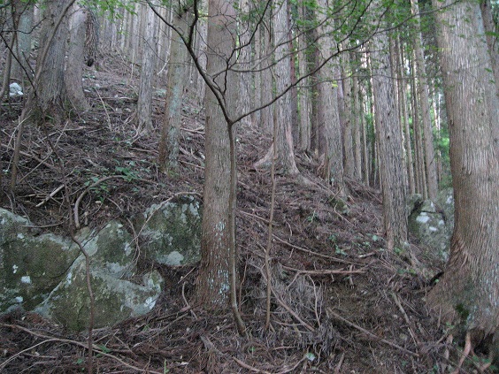 杓子山獣道