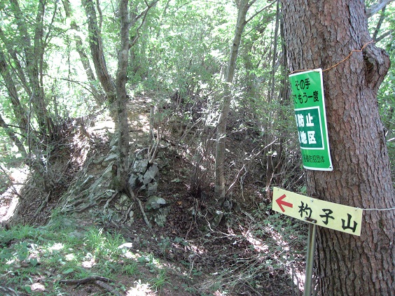 杓子山への道標