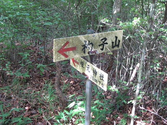 根元神社の分岐