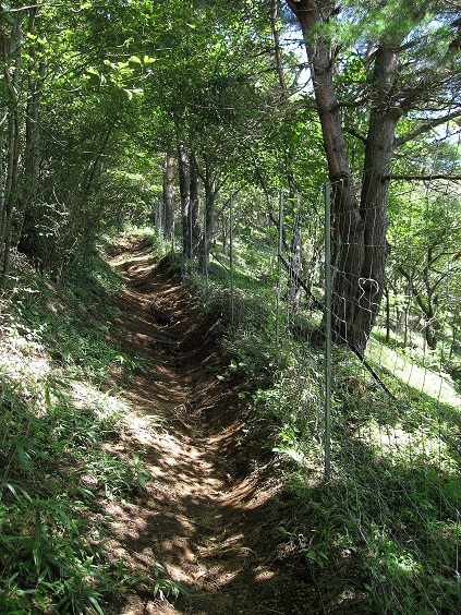 石割山登山道