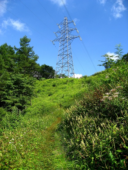 石割山登山道