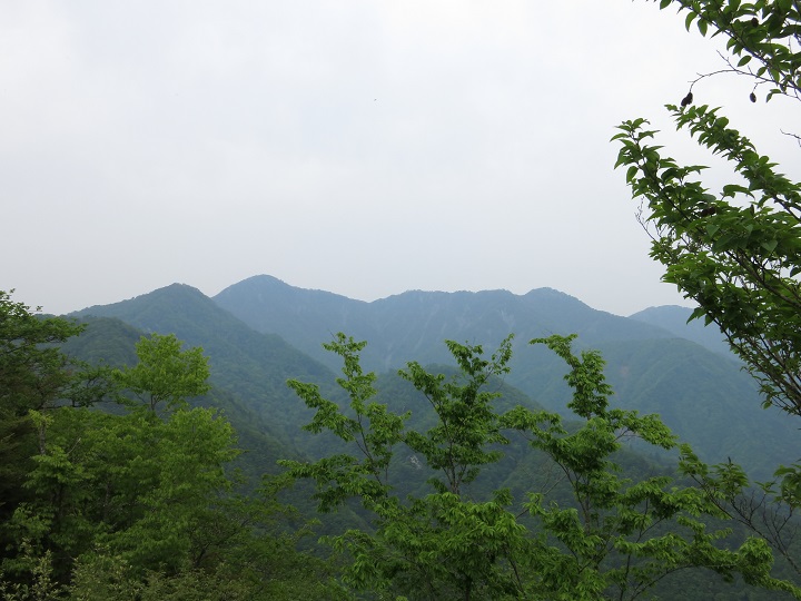 f:id:aohige0718:20180527144612j:plain 塔ノ岳