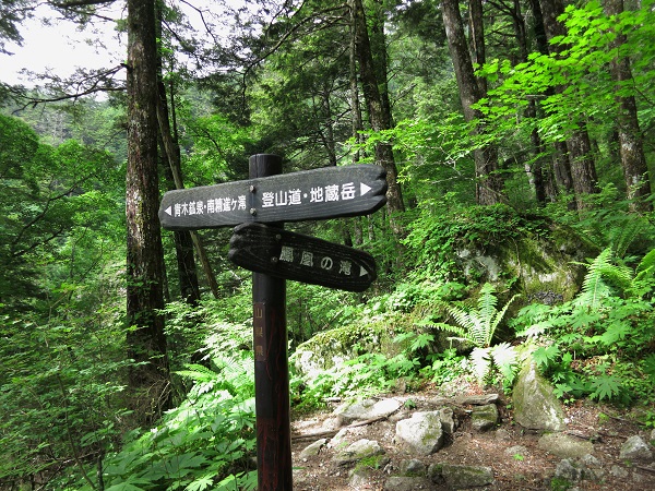 鳳凰滝への分岐