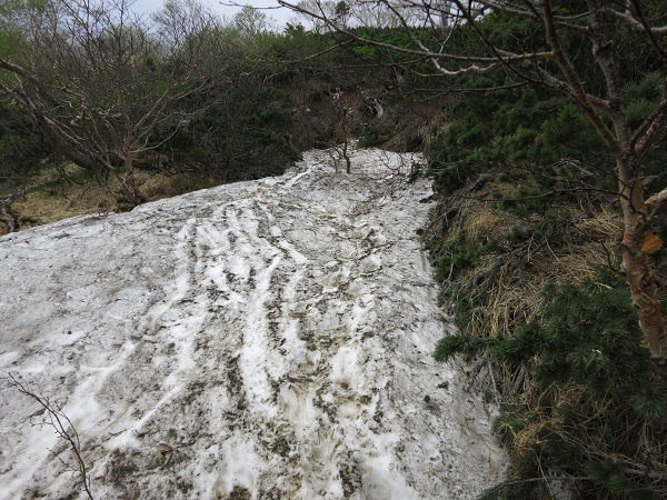 残雪