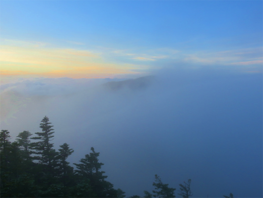 甲武信ヶ岳雲海