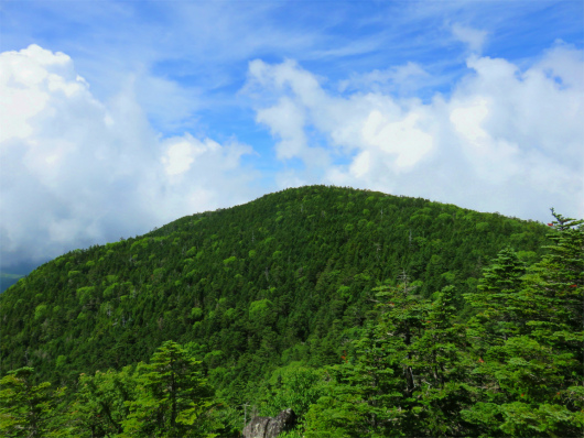 奥秩父の最高峰北奥千丈岳