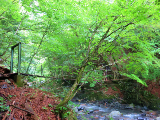 １つ目の吊橋