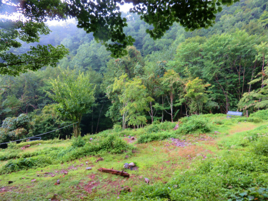 横窪小屋のテント場