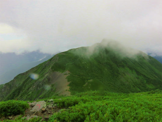 正面に見えている山は大沢岳(標高2819ｍ）