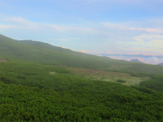 f:id:aohige0718:20180816172116j:plain 平和でなだらかな道