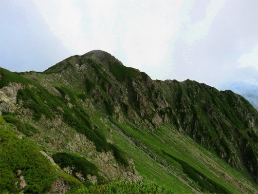 振り返っての小赤石岳