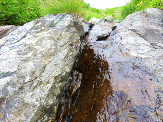 水量も豊富水場