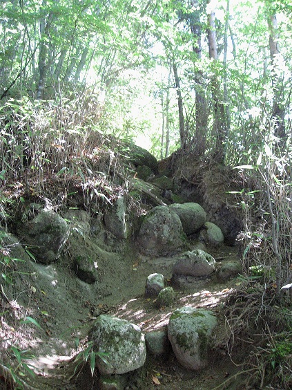 f:id:aohige0718:20180902112112j:plain 意識がなくなりそうな急登