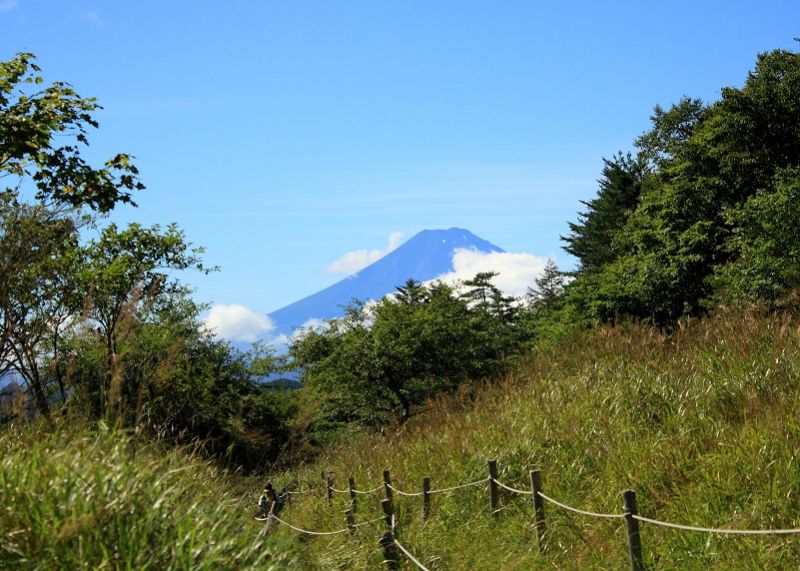 f:id:aohige0718:20180902112129j:plain 丸川峠からの富士山