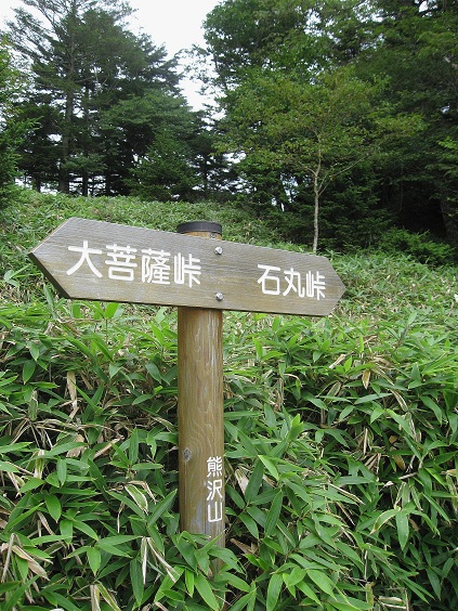 f:id:aohige0718:20180902112302j:plain 熊沢山