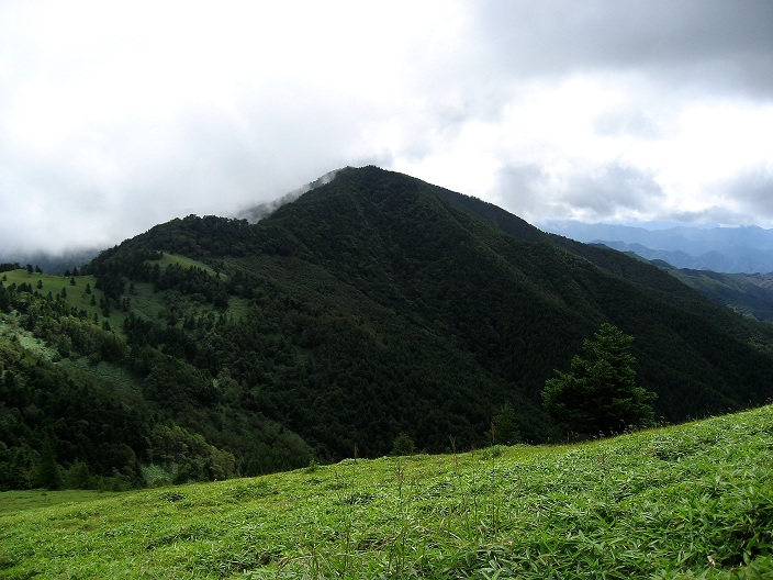 f:id:aohige0718:20180902112314j:plain 小金沢山の偽ピーク