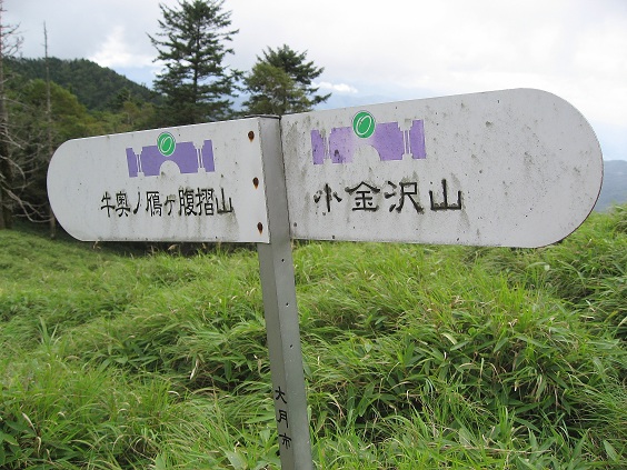 f:id:aohige0718:20180902112435j:plain 牛奥の雁ヶ腹摺山の道標