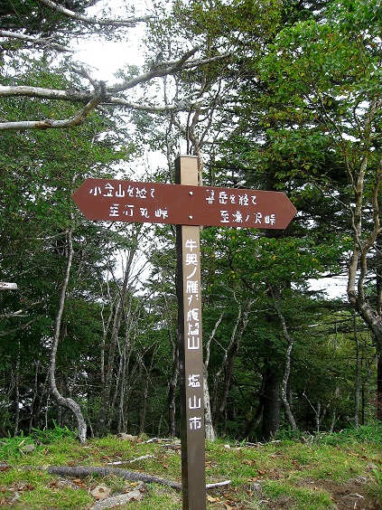 f:id:aohige0718:20180902112449j:plain 牛奥の雁ヶ腹摺山