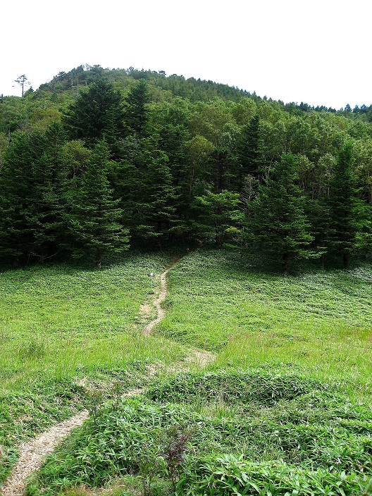 f:id:aohige0718:20180902112515j:plain 右に進むと水場