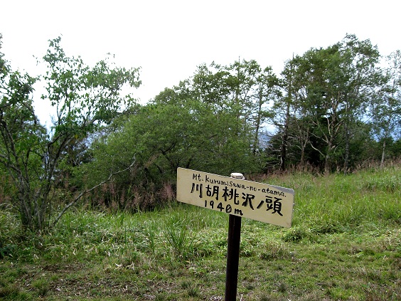 f:id:aohige0718:20180902112526j:plain 川胡桃沢ノ頭