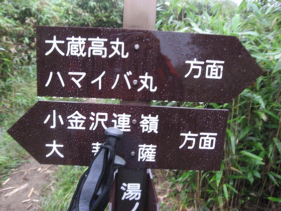 大蔵高丸・ハマイバ丸を目指して出発