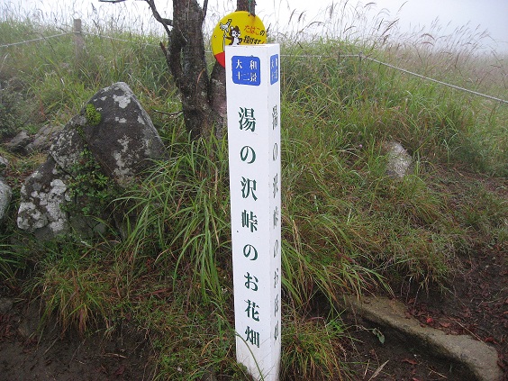 大蔵高丸お花畑