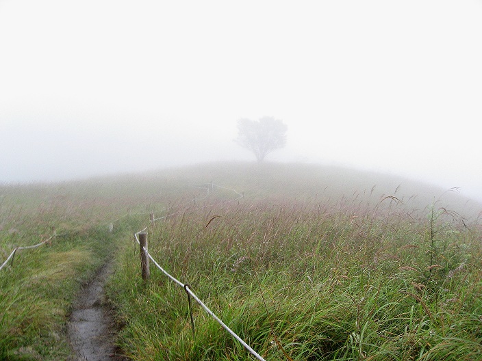 グレーな大谷ヶ丸・笹子雁ヶ腹摺山登山景色