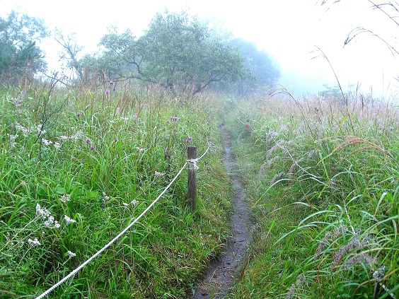 大谷ヶ丸・笹子雁ヶ腹摺山方面