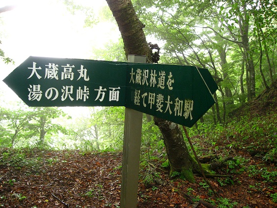 大蔵高丸・甲斐大和駅への分岐