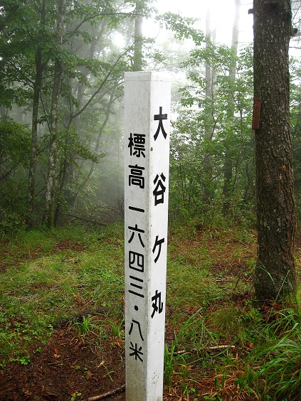 大谷ヶ丸山頂の道標