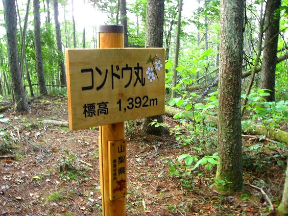 コンドウ丸山頂